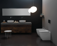 BRIO-Toilet-GSG-Ceramic-Design-294824-rel76458a4.jpg thumb image